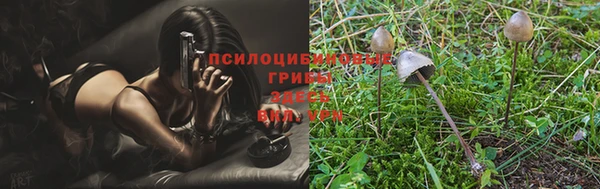 альфа пвп Красноперекопск