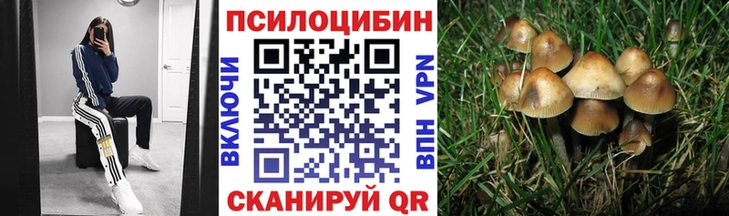 Псилоцибиновые грибы Cubensis  Купить  Багратионовск 
